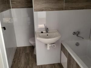 Pronájem bytu 2+1, Děčín - Děčín XXXII-Boletice nad Labem, V Sídlišti, 40 m2