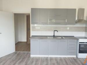 Pronájem bytu 1+1, Děčín - Děčín XXXII-Boletice nad Labem, V Sídlišti, 40 m2