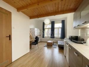 Pronájem bytu 1+kk, Praha, Lidická, 30 m2