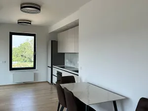 Pronájem bytu 2+kk, Praha - Karlín, Sokolova, 60 m2