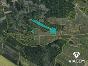 Prodej lesa, Klučov, 11430 m2