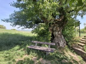 Prodej zahrady, Blučina, 7961 m2