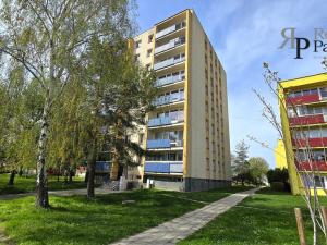 Pronájem bytu 3+1, Opava, Bílovecká, 66 m2