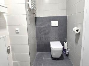 Pronájem bytu 1+kk, Praha - Střížkov, Makedonská, 35 m2