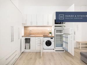 Pronájem bytu 1+kk, Brno, Francouzská, 20 m2
