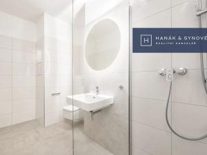 Pronájem bytu 1+kk, Brno, Francouzská, 20 m2