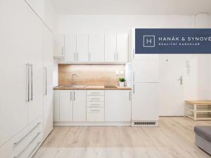 Pronájem bytu 1+kk, Brno, Francouzská, 20 m2