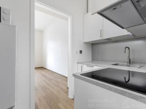 Pronájem bytu 1+kk, Praha - Žižkov, Milíčova, 29 m2