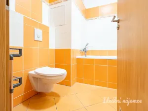 Pronájem bytu 1+kk, Praha, Farkašova, 32 m2