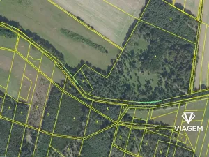 Prodej podílu lesa, Sokoleč, 799 m2