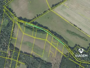 Prodej podílu lesa, Sokoleč, 799 m2