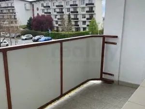 Pronájem bytu 1+kk, Olomouc, Voskovcova, 39 m2