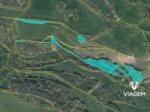 Prodej podílu lesa, Heřmanov, 7032 m2