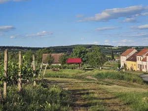 Prodej pozemku pro bydlení, Starý Poddvorov, 814 m2