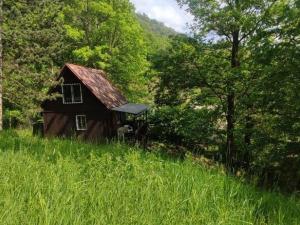 Prodej chaty, Ústí nad Labem - Brná, Pod Ostrým, 35 m2
