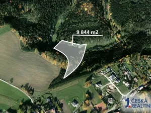 Prodej podílu lesa, Velké Petrovice, 4922 m2