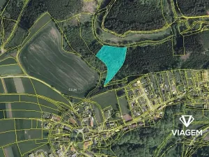 Prodej podílu lesa, Velké Petrovice, 4922 m2