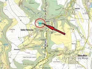 Prodej podílu lesa, Velké Petrovice, 4922 m2