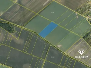 Prodej podílu pole, Stařechovice, 2034 m2
