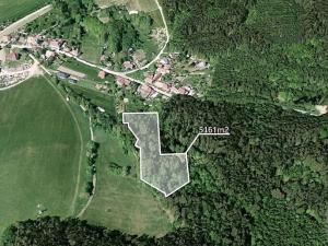 Prodej podílu lesa, Velenov, 1207 m2