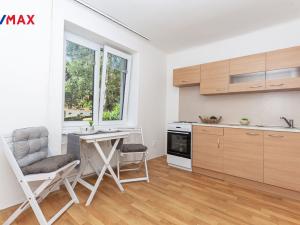 Pronájem bytu 1+1, Litvínov - Horní Litvínov, Podkrušnohorská, 29 m2