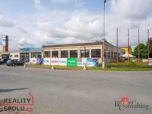 Pronájem obchodního prostoru, Hradec Králové - Slezské Předměstí, Bieblova, 480 m2