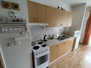 Prodej bytu 3+kk, Pardubice, Nová, 62 m2