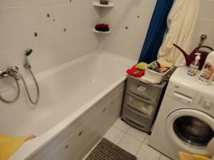 Prodej bytu 3+kk, Pardubice, Nová, 62 m2