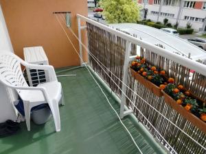 Prodej bytu 3+kk, Pardubice, Nová, 62 m2