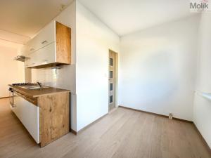 Pronájem bytu 3+1, Chomutov, Bezručova, 63 m2