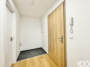 Pronájem bytu 2+kk, Praha, Hasilova, 59 m2