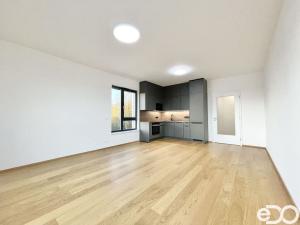 Pronájem bytu 2+kk, Praha, Hasilova, 59 m2