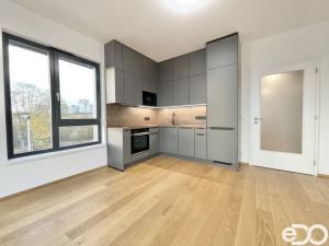 Pronájem bytu 2+kk, Praha, Hasilova, 59 m2