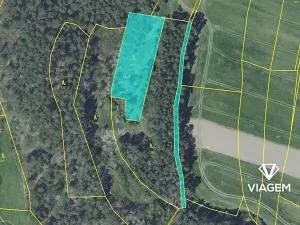 Prodej lesa, Libež, 3360 m2