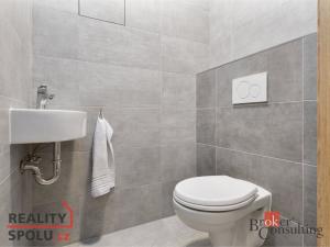 Pronájem bytu 2+kk, Praha, Za černým mostem, 50 m2