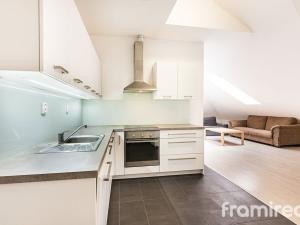 Pronájem bytu 3+kk, Brno, Úvoz, 105 m2