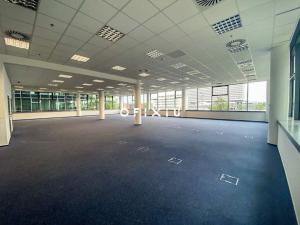 Pronájem kanceláře, Brno - Bohunice, Netroufalky, 550 m2