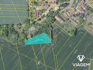 Prodej podílu pole, Chabeřice, 210 m2