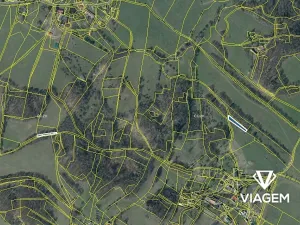 Prodej podílu lesa, Lovečkovice, 651 m2