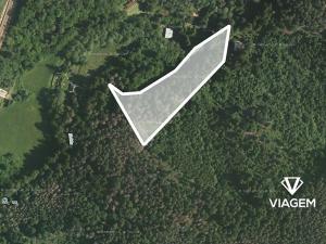 Prodej podílu lesa, Kuřimská Nová Ves, 1778 m2