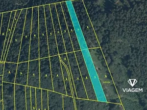 Prodej podílu lesa, Halenkov, 2438 m2