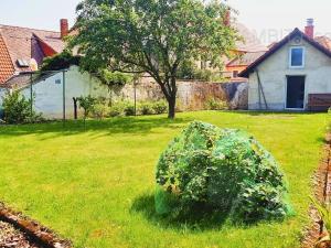 Prodej rodinného domu, Netolice, 240 m2
