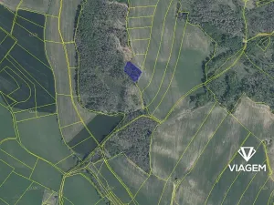 Prodej podílu lesa, Třebíč, 559 m2