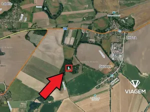 Prodej podílu lesa, Přelouč, 241 m2