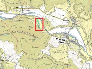 Prodej podílu lesa, Vranová Lhota, 3377 m2