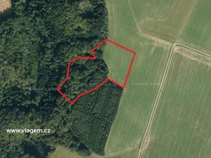 Prodej podílu lesa, Vševily, 1467 m2