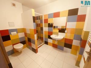 Pronájem bytu 1+kk, Pelhřimov, Skrýšovská, 39 m2