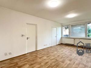 Pronájem bytu 1+1, Liberec, Na Jezírku, 43 m2