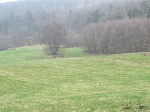 Dražba rodinného domu, Bohuslávky, 10 m2