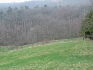 Dražba rodinného domu, Bohuslávky, 10 m2
